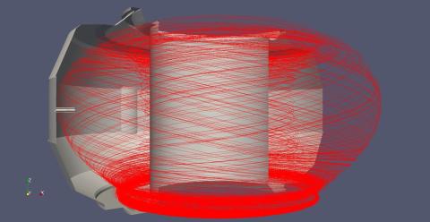 Impurity particle tracks in a fusion tokamak