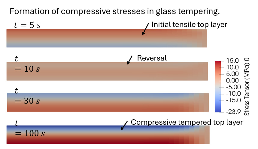 Formation of compressive stresses in glass tempering.